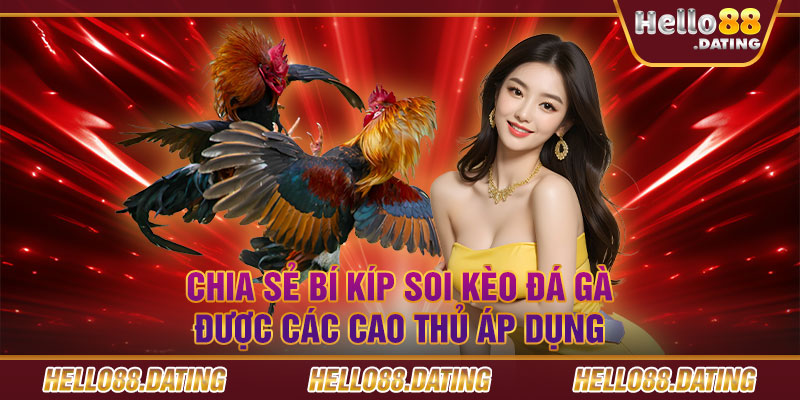 Chia sẻ bí kíp soi kèo đá gà được các cao thủ áp dụng